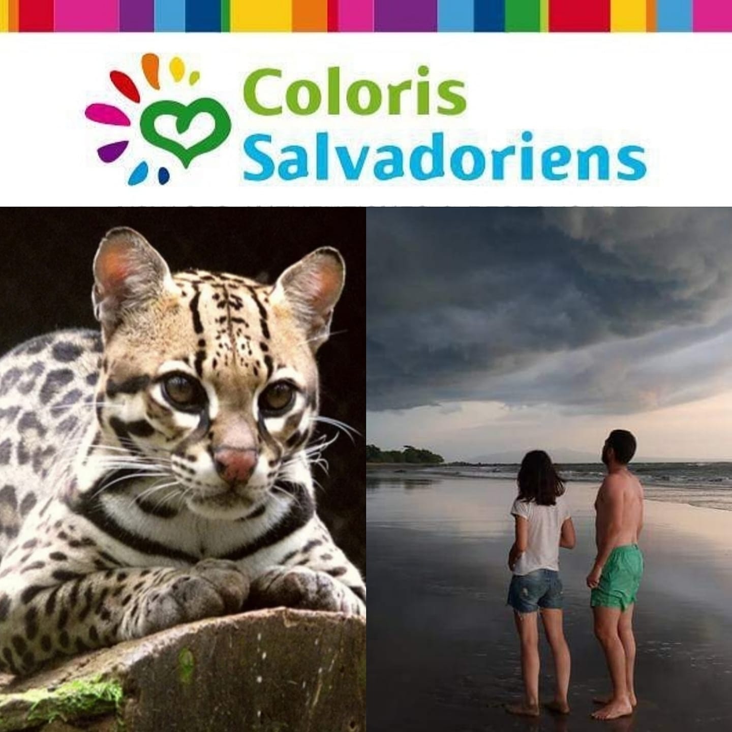 COLORIS-SALVADORIENS